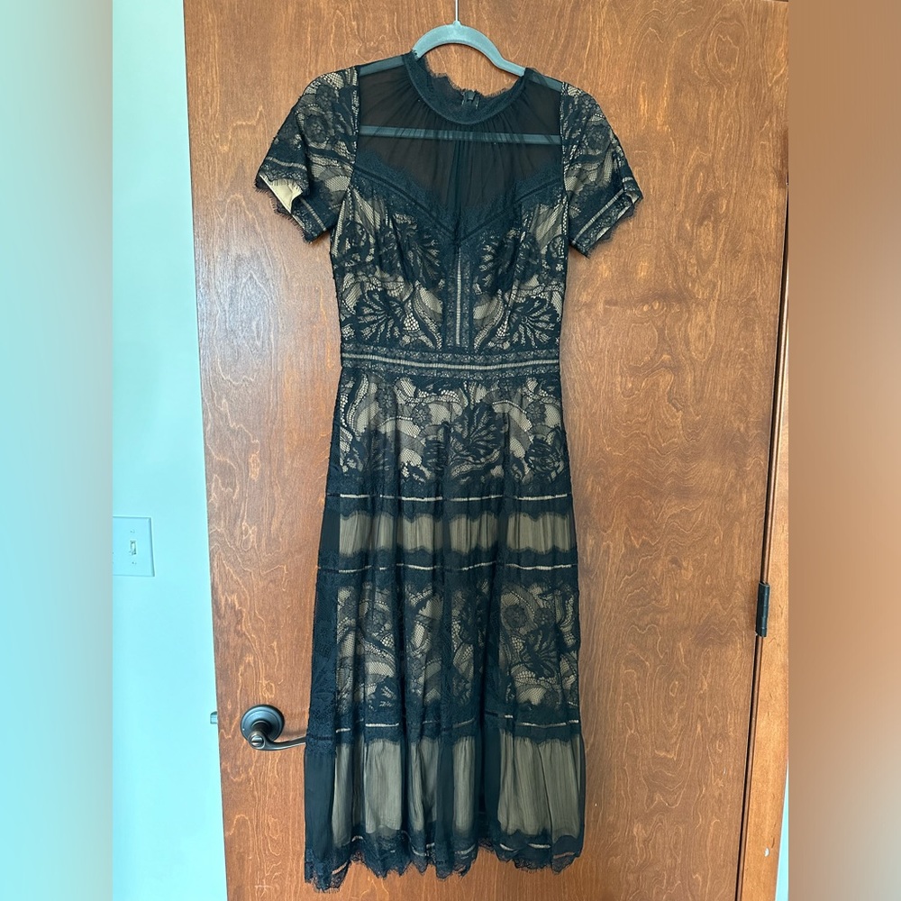 Tadashi Shoji Mesh Lace Midi Dress